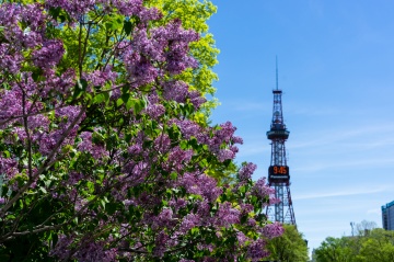 Take a break and look for souvenirs around Odori and Sapporo Stations