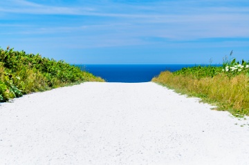 白色道路