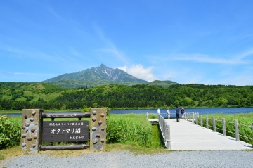 奧塔托馬里沼澤