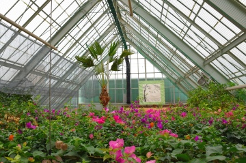 函館市熱帯植物園