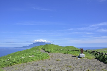 レブンウスユキソウ群生地