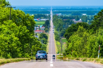 The Road to the Sky