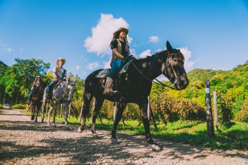 WILD MUSTANG'S