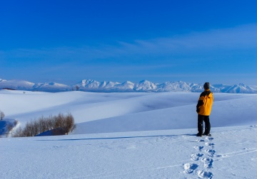 Scenic snowshoe experience in Biei (Time required: Approx. 2 hours)