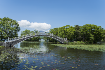 湖月橋・金波橋（約20分）