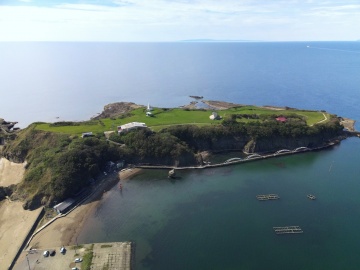 かもめ島