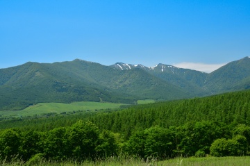 十勝千年の森（清水町）