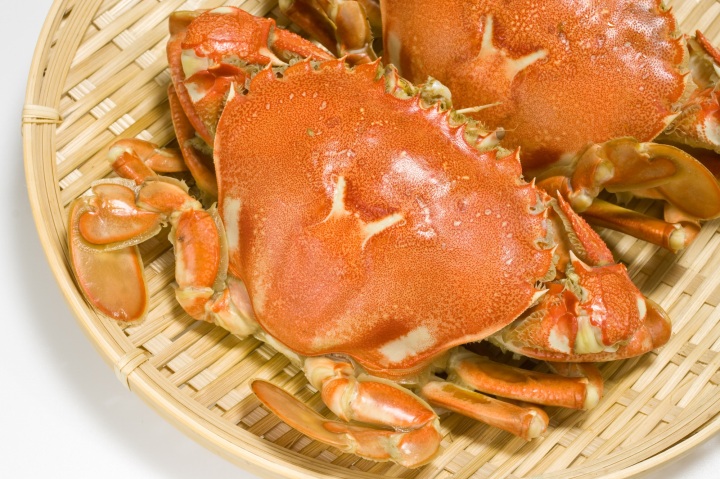 南保留太郎商店