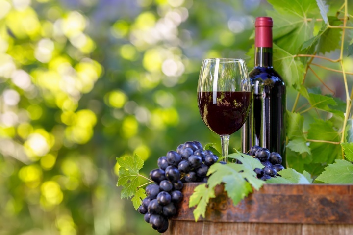 Sorachi Wine – Hokkaido’s Rising Star in the Wine World