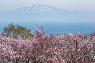 鄂霍次克流冰館・天都山展望台