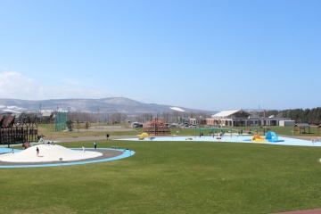 北海道立オホーツク流氷公園（オホーツクラベンダー畑）