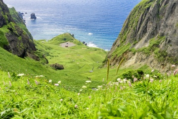 Rebun Island Sightseeing