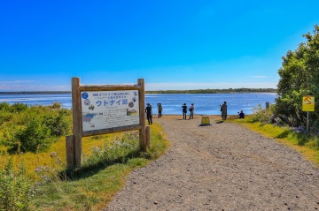 ウトナイ湖［約90分］