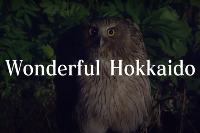 Wonderful Hokkaido