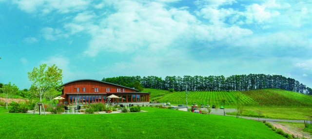 OcciGabi Winery (Yoichi Town)