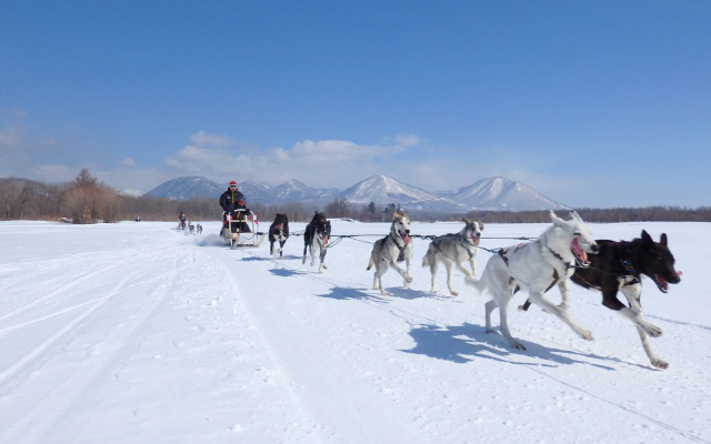 Mushing Works (Shikaoi Town)