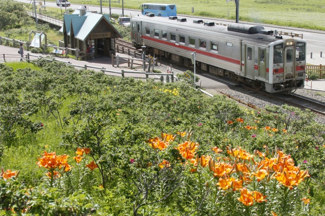 Koshimizu Primeval Flower Garden