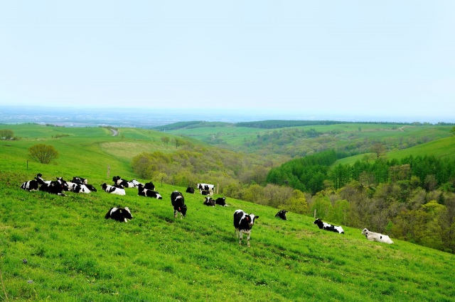 Naitai Highland Farm