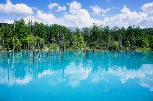 北海道景點-道北區