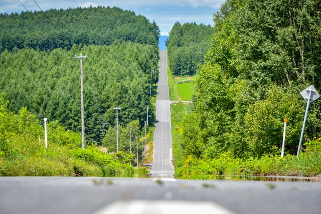 Roller Coaster Road