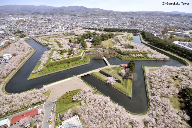 【道南】五稜郭公園（函館市）