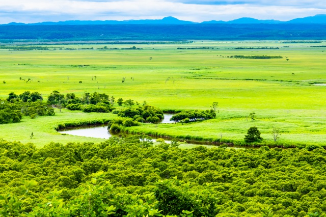 [Eastern Hokkaido] Kushiroshitsugen National Park