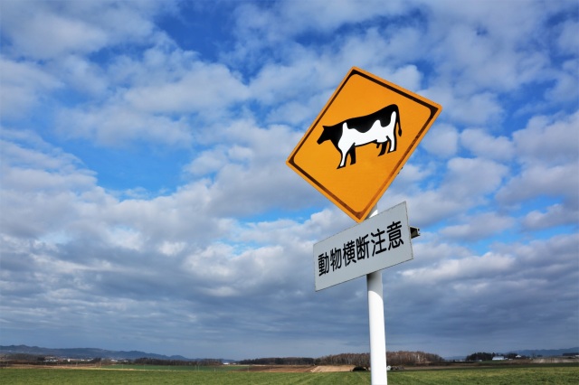 動物注意の看板