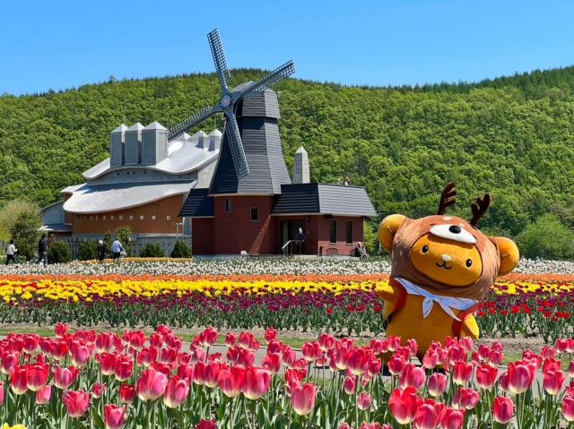 湧別町　日本最大級のかみゆうべつチューリップ公園♪