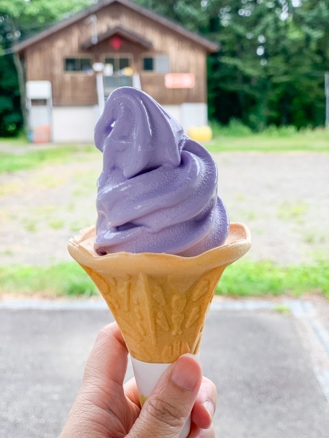 Lavender soft serve ice cream