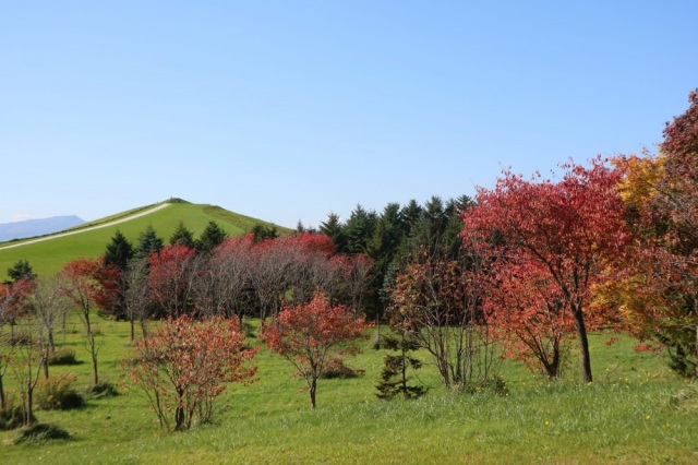 秋：モエレ山で紅葉狩り
