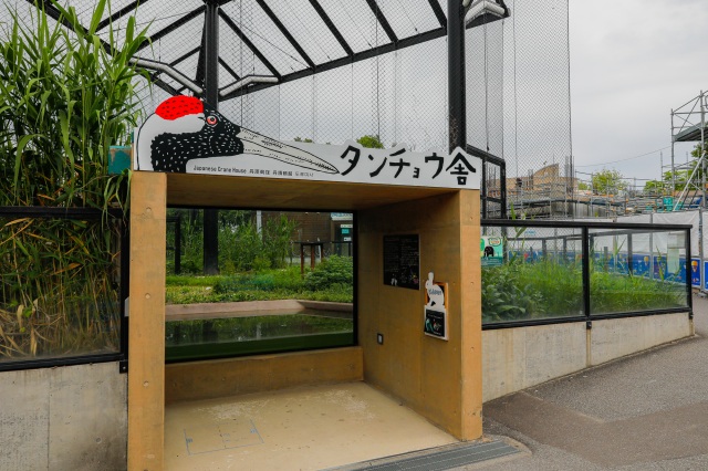 旭川市旭山动物园