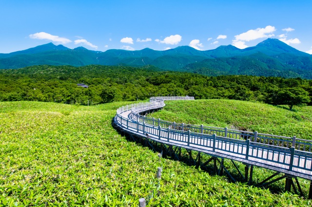 高架木道