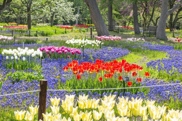 百合が原公園