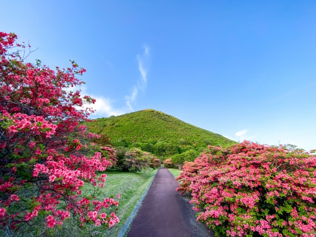 恵山つつじ公園