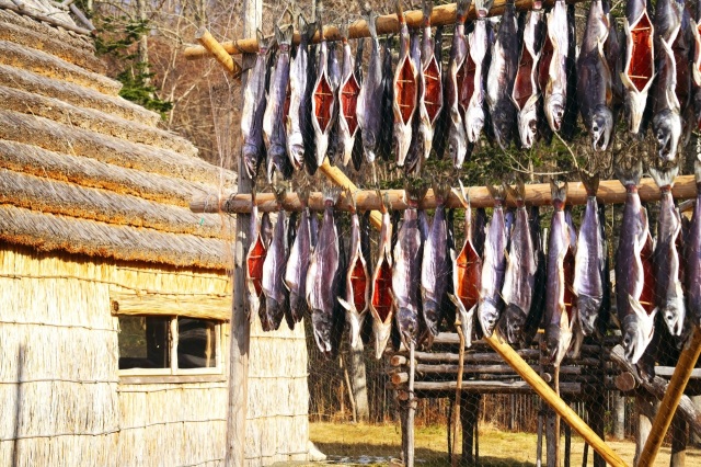 Upopoy National Ainu Museum and Park