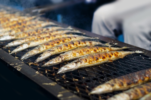 Nemuro pacific saury Festival