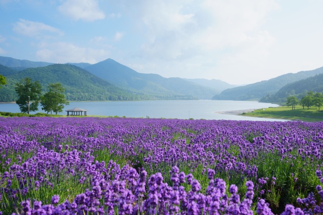 Kanayama Lake