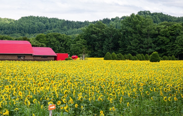 Sunagawa Nasu Farm