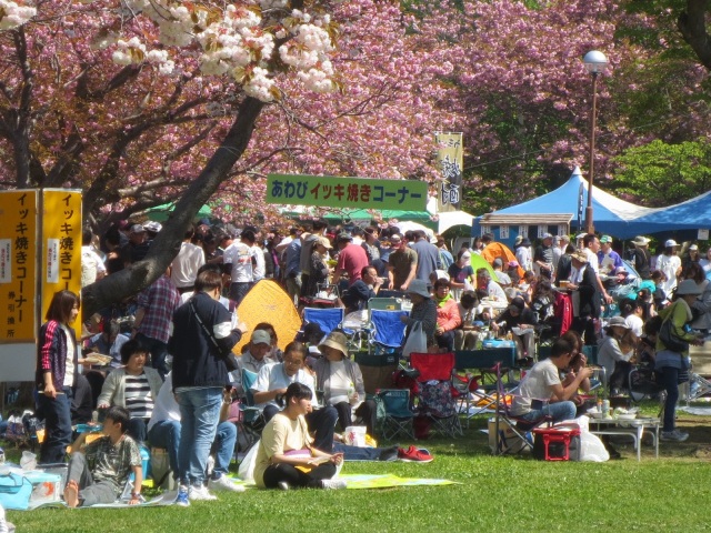 熊石鲍鱼村祭