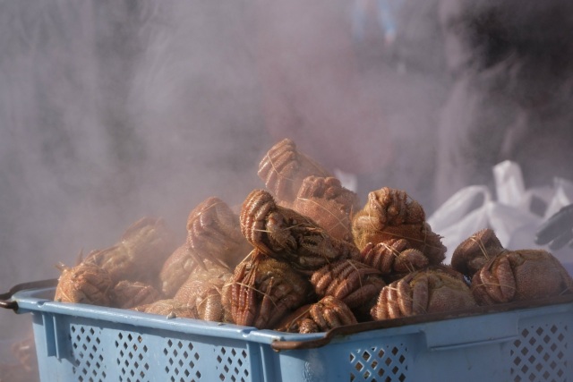 Hiroo Hairy Crab Festival