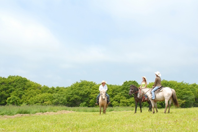 Hakodate Dosanko Farm（函馆市）