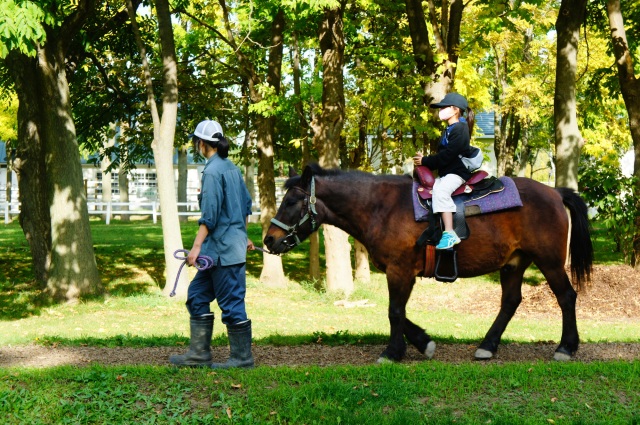 サッポロさとらんど（札幌市）