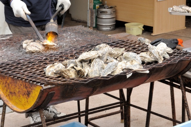 Akkeshi Cherry Blossom and Oyster Festival