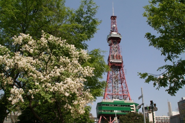 Sapporo Lilac Festival