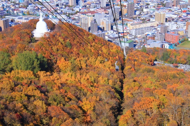 秋のもいわ山を空中散歩