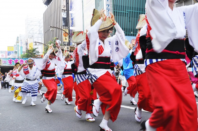 すすきの祭り