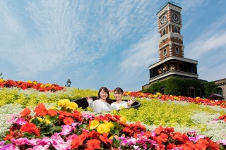 Shiroi Koibito Park