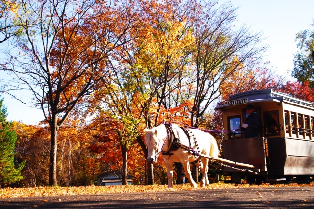 Historical Village of Hokkaido (Kaitaku-no Mura)