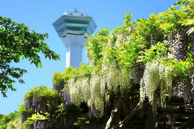 Goryokaku Tower