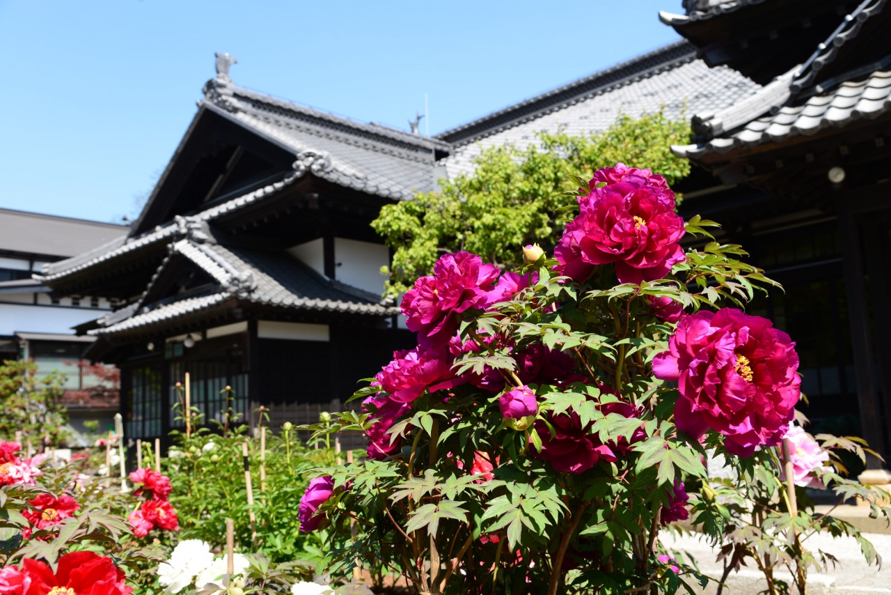 旧青山別邸（小樽貴賓館）